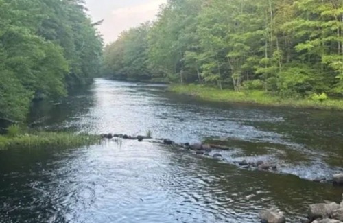 Limerick Cabine | Watersrock Woods Camp Site 2