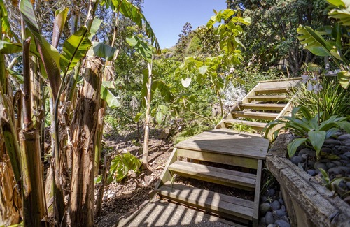 Raglan Appartement | WaveCatcher Whale Bay Surf Studio Flat