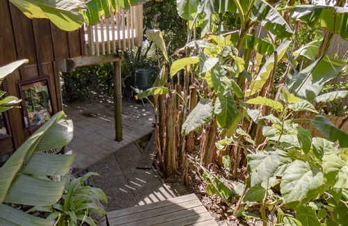 Raglan Appartement | WaveCatcher Whale Bay Surf Studio Flat