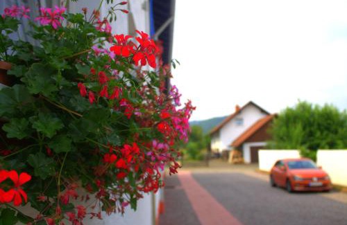 Munchweiler an der Rodalb Appartement | Wdwell