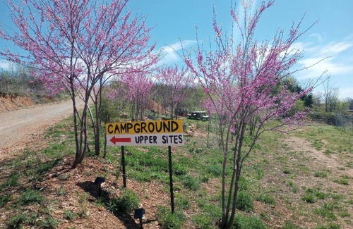 Bakersfield Location De VR | We Have A Campsite for Your RV