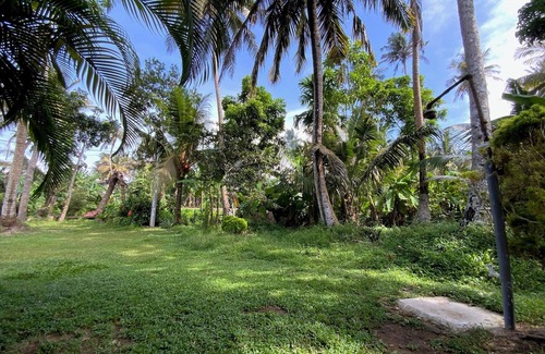 Ahangama Appartement | Wee amazonia en la Selva Tropical y Playa!