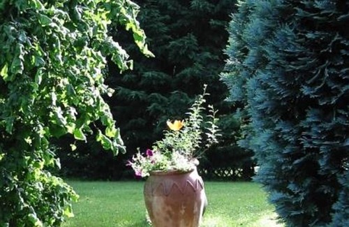 Schoenecken Appartement | Weekend offer (Fri.-Mon.) log cabin - holiday village Reinskopf