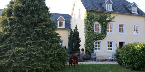 Trittenheim Hôtel | Wein- & Tafelhaus