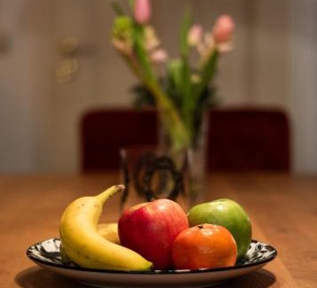 Dresden Appartement | Weinberg 100
