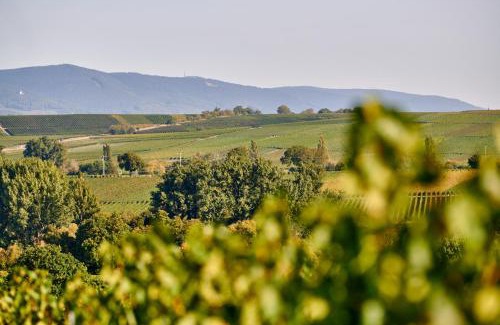 Ingenheim Hôtel | Weingasthaus Wisser