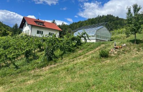 Leutschach Appartement | Weingut Kleinmonte