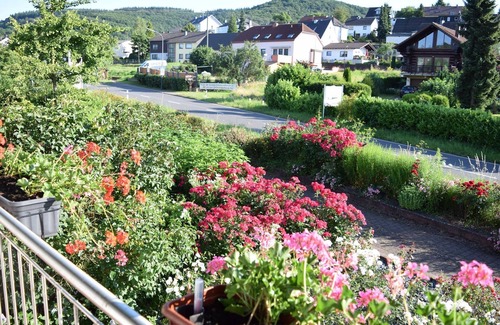 Ayl Cottage | Weingut-Pension Raevenhof - Chambre Double Douche / WC