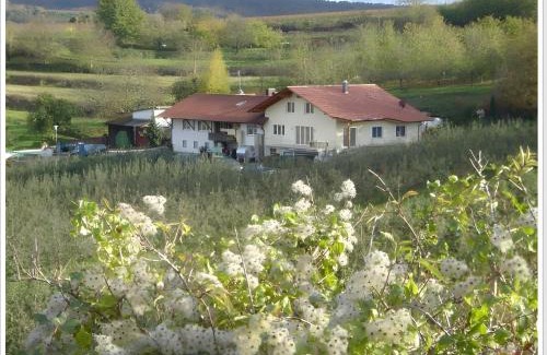 Herbolzheim Appartement | Weingut Ringwald