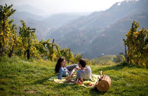 Kitzeck im Sausal Maison | Weingut Schauer