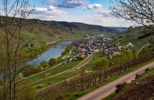 Reil Hôtel | Weinhaus Burg-Schneider