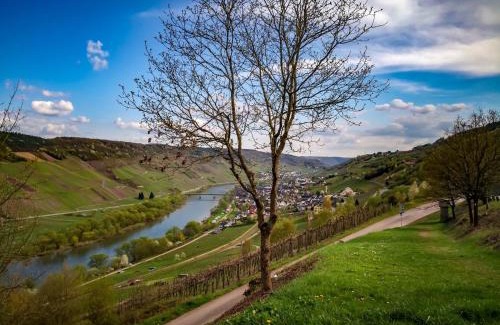 Reil Hôtel | Weinhaus Burg-Schneider