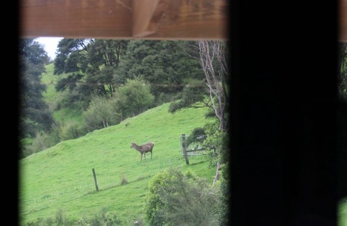 Waitaria Bay Cabine | Weka Cottage