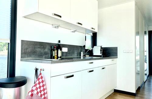 Offingawier Appartement | Welcome in - Houseboat Earrebarre aan het Sneekermeer met dakterras, prachtig uitzicht