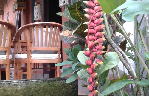 Sidemen Maison | Bienvenue à Balinise Guest House