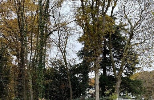 Chanteloup-en-Brie Maison | Welcome to Disneyland