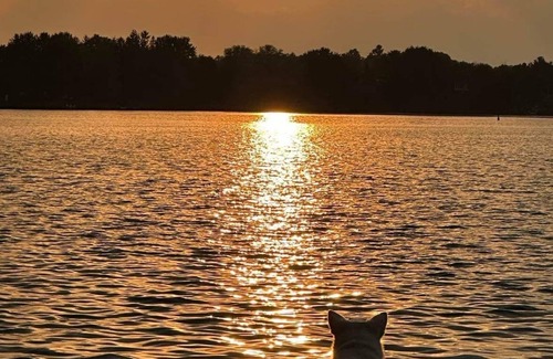 Lakefield Cottage | Welcome to Katchewanooka Lake