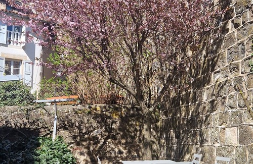Le Puy-en-Velay Appartement | Bienvenue au Cocon de Seguret - Duplex de 120 m2 au cœur du secteur historique