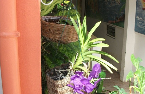 Port-Louis Appartement | Welcome to Residence Madelia in Guadeloupe