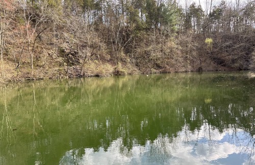 Parker Ford Maison | Welcome to Sanatoga Springs! Your private lake house.