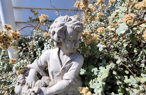 Martinborough Maison | Bienvenue au Back Paddock