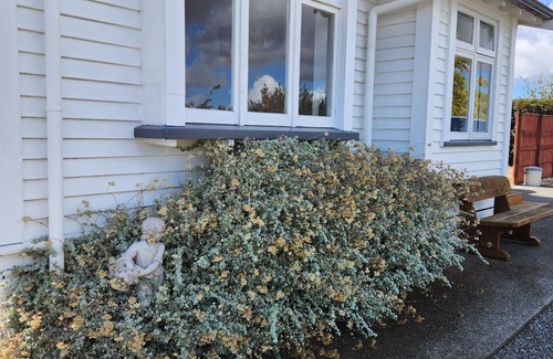 Martinborough Maison | Bienvenue au Back Paddock