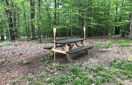 Portland Mills Maison | Welcome to the Lake City Cabin!