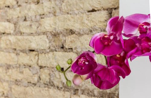 Pamplona City Centre Appartement | Welcoming Apart Old Town