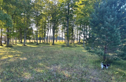 McMillan Location De VR | Welcoming campsites in heart of the UP