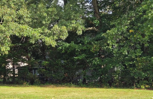 Lake Arbor Appartement | Well Located, Well Loved
