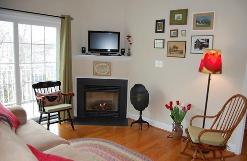 West Annapolis Copropriété | Magnifique condo neuf dans un emplacement idéal à West Annapolis. Ce condo a des plafonds voûtés, des appareils en acier inoxydable et des planchers de bois franc. La propriété est proche du centre-ville d'Annapolis et des routes de banlieue