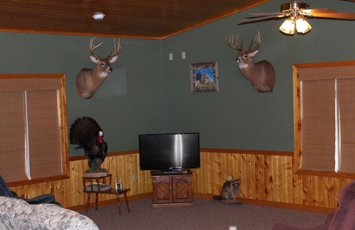 Pittsfield Cabine | West Central Lodging