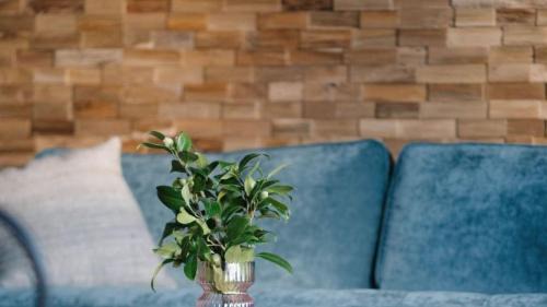 Nelson Region Maison | Wharangi Cottage