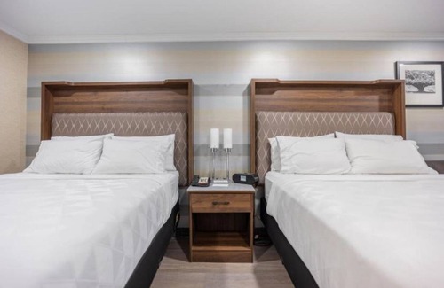 Plainview Maison | Whether working or relaxing, our room is the perfect place to revive and stay!