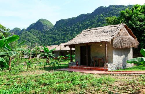 Cat Hai Station Balnéaire | Whisper Nature Bungalow & Resort