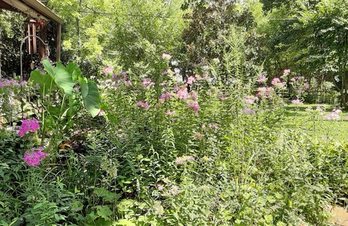 Fairview Cabine | Whispering Waters Cabin on The Creek