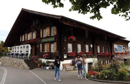 Aeschi bei Spiez Appartement | WHITE HOME IN AESCHI BEI SPIEZ
