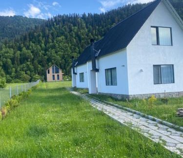 Likani Appartement | White House near Borjomi Sadgeri