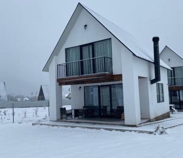 Likani Appartement | White House near Borjomi Sadgeri