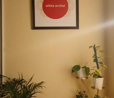 Turuk Appartement | White Orchid