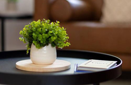 Albury Maison | White Rabbit on Jones- central sophistication