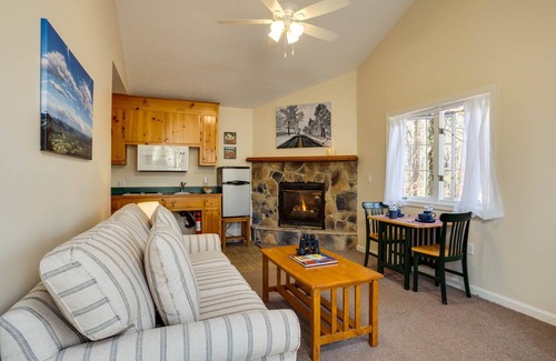Lyndhurst Cabine | White Rock Cabin--1BR, ADA, kitchenette, fireplace