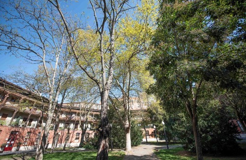 Valladolid City Centre Appartement | White spaces El viejo Coso: with parking!