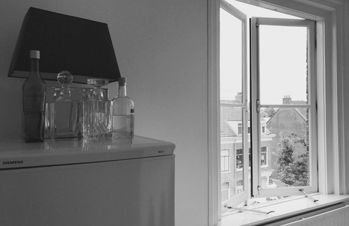 Centrum Appartement | WHS Cosy Lofts Haarlem penthouse appartement