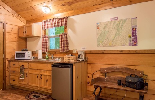 Allegheny Mountains Cabine | Économie sans sacrifice