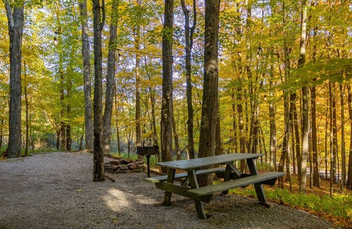 Allegheny Mountains Cabine | Économie sans sacrifice
