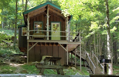 Allegheny Mountains Cabine | Économie sans sacrifice