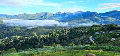 Udumbanchola Maison | Wild Lily