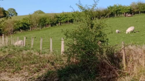 Llandovery Autre | Wildcamping Gilbert Hight