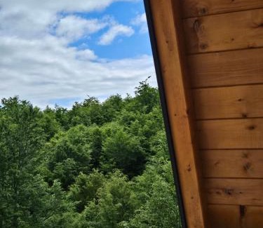 Kolasin Municipality Chalet De Ski | Wilderness Cabin